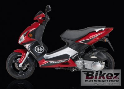 2008 Kreidler Florett RMC-G 50 Race photo